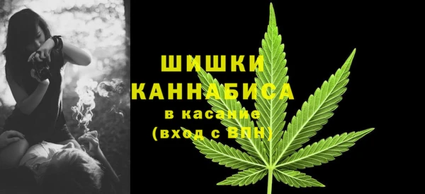 дживик Медвежьегорск