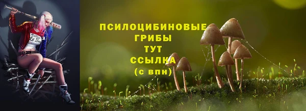 дживик Медвежьегорск