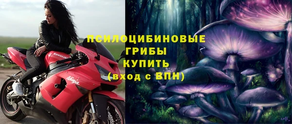 прущие крисы Мегион