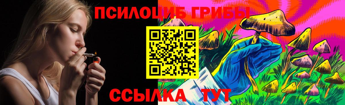 Псилоцибиновые грибы GOLDEN TEACHER Моздок