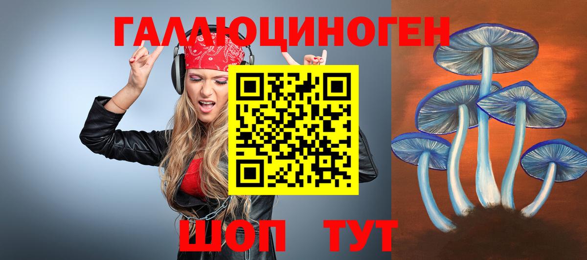 Моздок  Псилоцибиновые грибы GOLDEN TEACHER  Вход с VPN 